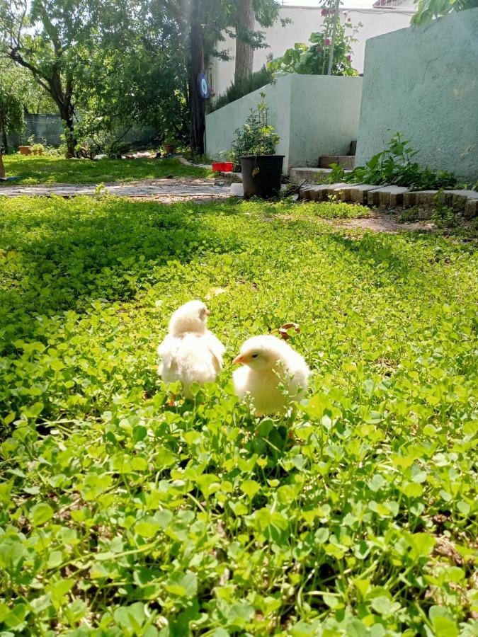 Salda Goelue Koca Kapi Konaklama Yesilova  Экстерьер фото